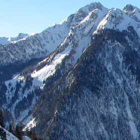 picture-4